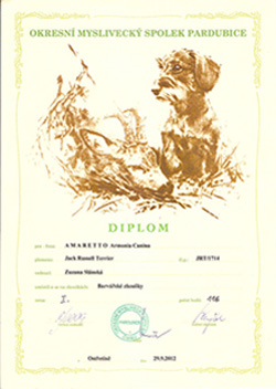 Ein Diplom für das 1. Platz - Amaretto Armonia Canina