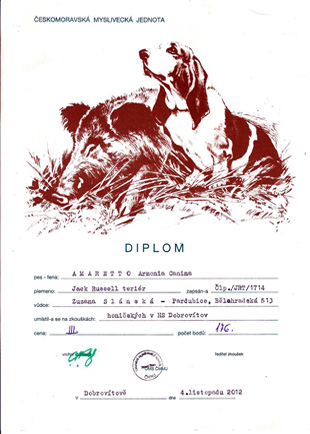 A diplom for Amaretto Armonia Canina - the hound exam for hunting wild boars