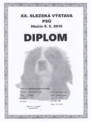 A diplom of Dolcenera Armonia Canina from the Hlucin Club Dog Show