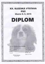 Il diploma della Expo di Club di Hlučín