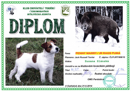 A diplom for the Club Hunting Pentathlon