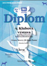 Penny Marry/JR Rags Puma - diplom z klubové výstavy