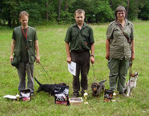 Jack Russel Terrier - Amaretto Armonia Canina dritter in dem Fuchsbau-Test