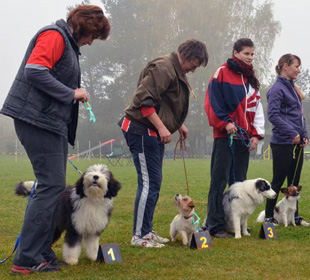 Bea - 2. místo v agility