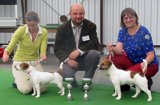 Jack Russel Terrier - oba Národní vítězové + 1x BOB